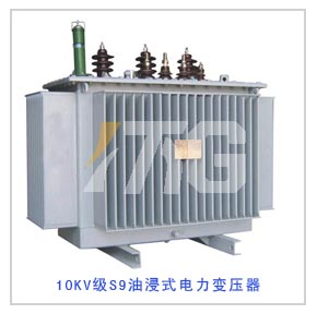 10KV級(jí)S9系列油浸式電力變壓器
